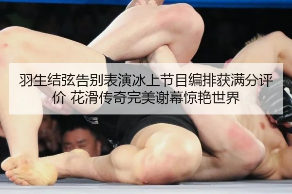 羽生结弦告别表演冰上节目编排获满分评价 花滑传奇完美谢幕惊艳世界