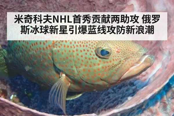 米奇科夫NHL首秀贡献两助攻 俄罗斯冰球新星引爆蓝线攻防新浪潮